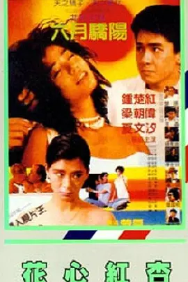 女厕wc撒尿