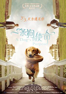 久久婷婷综合99啪69影院