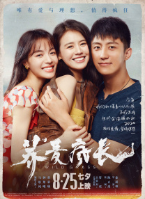 亚洲午夜视频