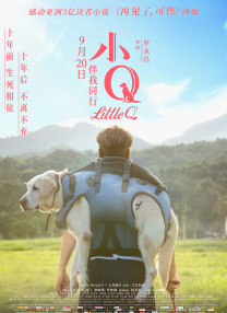 燃情仕途:张慧张莉